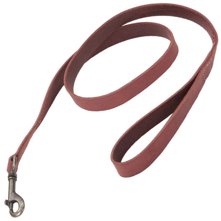 *COASTAL Rustic Leather Leash - 3/4 In x 6' - Brick Red