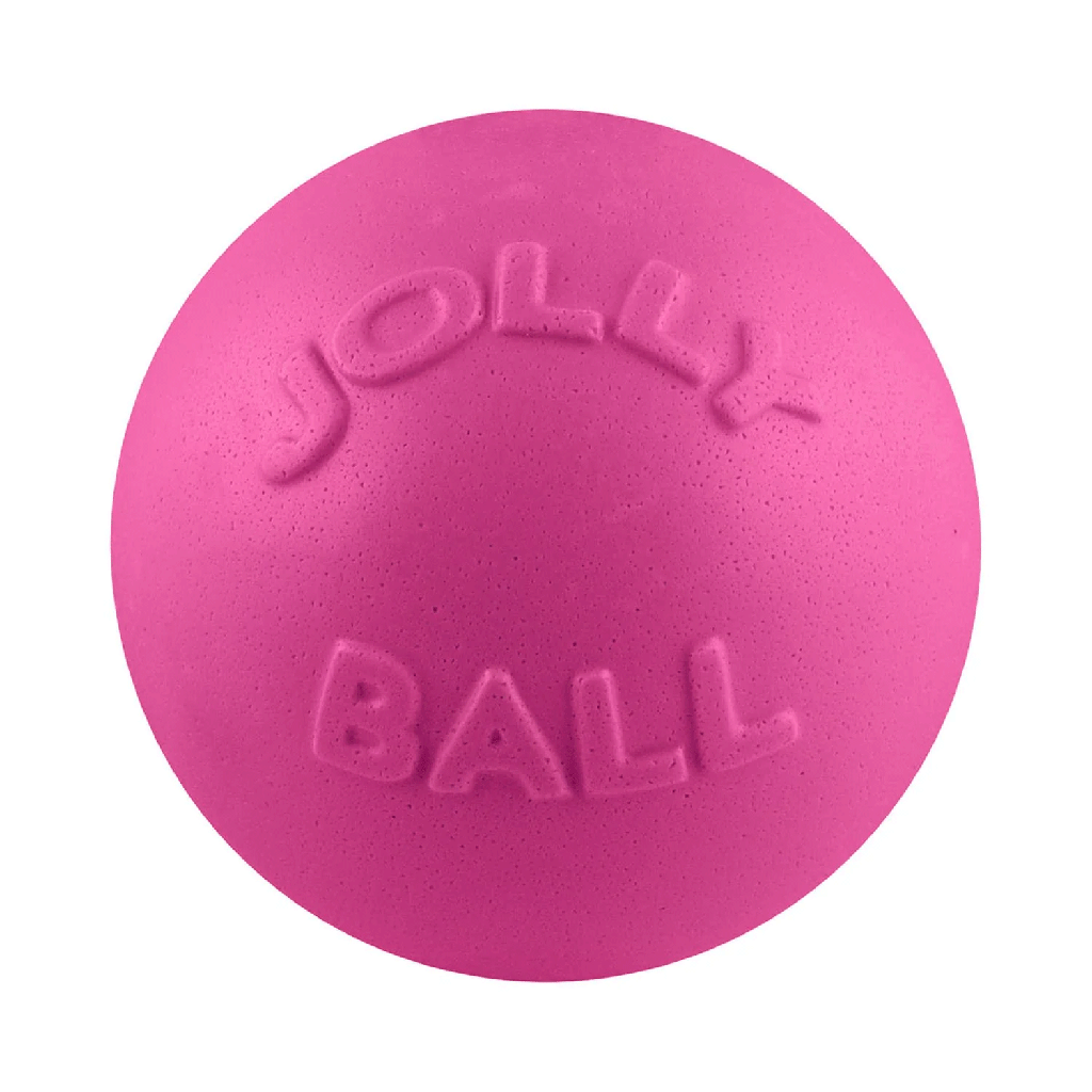 JOLLYPET Bounce-n-Play 6inch Pink
