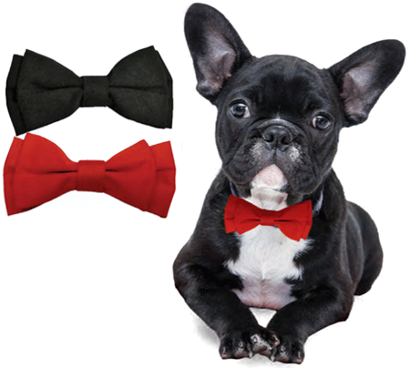 [FP16011 M/LG] *FASHION PET Bow Tie M/LG Black