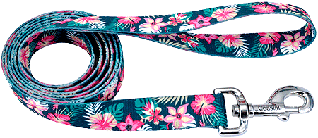 [CA466 TRP FLW] PET ATTIRE Styles Dog Leash 6'x5/8 Tropical Flower