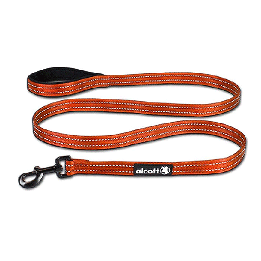 [PAW11549] **P.A.W. Visibility Leash L Orange