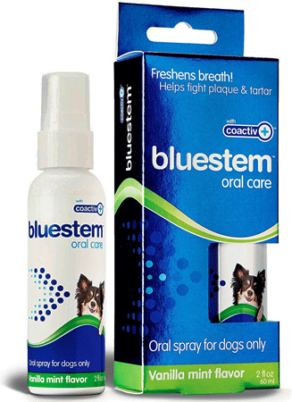 [BOC21709] BLUESTEM Oral Spray Vanilla Mint 2oz