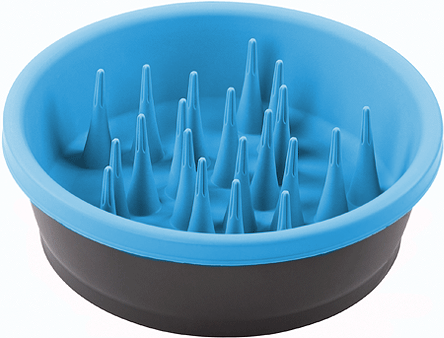 [DEX30958] DEXAS Slow Feeder Pro Blue
