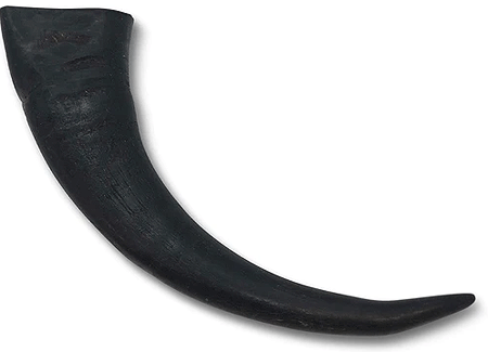 [WE20381] WILD EATS Water Buffalo Horn L
