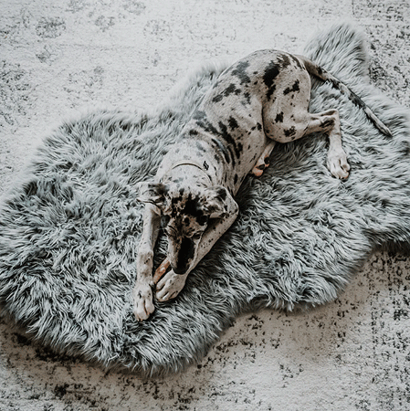 [PUP91166] PAW PupRug Faux Fur Orthopedic Dog Bed Curve Charcoal Gray L/XL