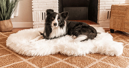 [PUP91168] PAW PupRug Faux Fur Orthopedic Dog Bed Curve Polar White S/M