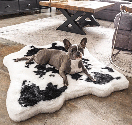 [PUP91074] PAW PupRug Animal Print Memory Foam Dog Bed Black Faux Cowhide Junior