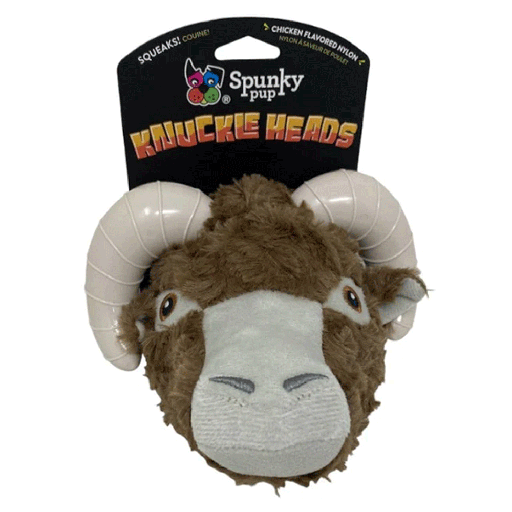 [SKP12016] *SPUNKY PUP Knuckleheads Ram
