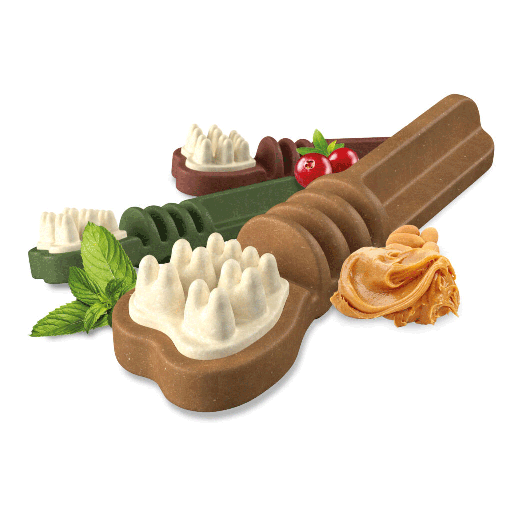 [E07718] ETHICAL/SPOT Knash Brush Small 6pk