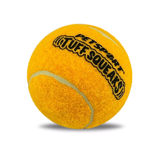 [PS70301] PETSPORT Tuff Ball Squeak Giant 4" 1pk
