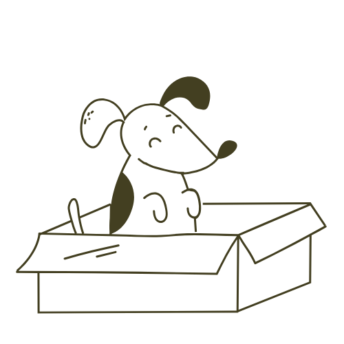 [DROPSHIP] DO NOT INCLUDE INVOICE IN BOX