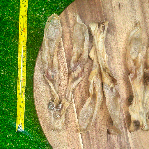 [FUR28742] FUREVER FIERCE Furless & Attached Rabbit Ears 3ct Bag