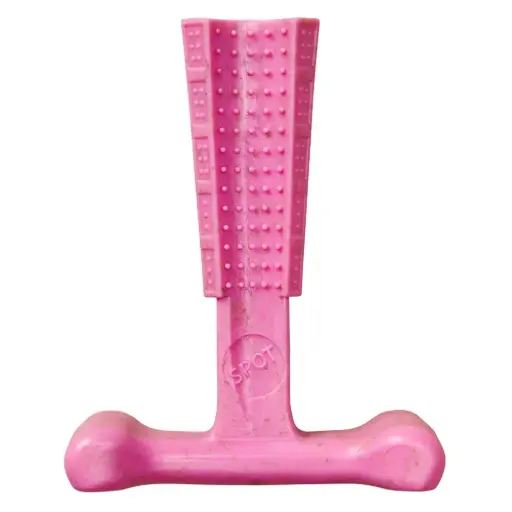 [E55020] ETHICAL/SPOT Bam-Bone Puppy Pink Chicken 6"