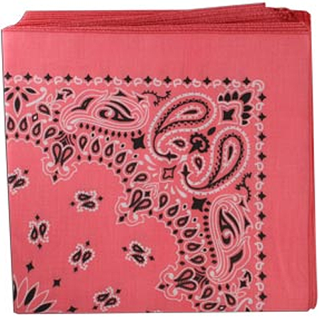 [BAN068] BANDANNA Paisley Strawberry 12pk