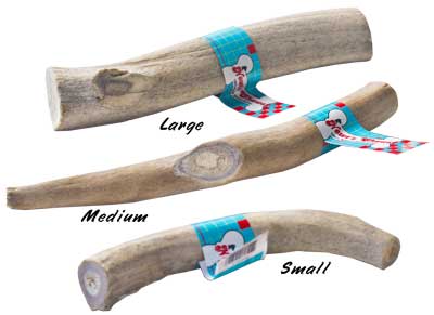 [NCS04519] *NEWT'S CHEWS Original Antler Medium Single