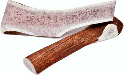 [NCS24382] NEWT'S CHEWS Sliced Elk Antler L